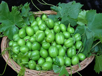 گوجه سبز بادامی