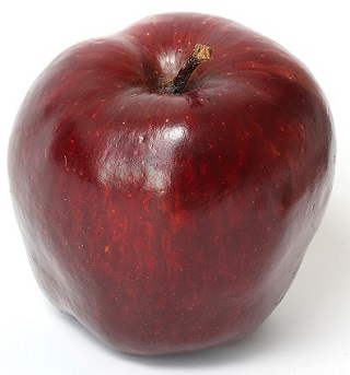 نهال سیب